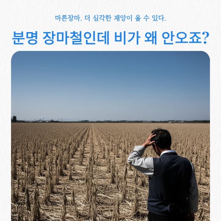  2025년 마른장마. 분명 장마인데 비가 왜 안오지? 더 심각한 재앙 대비 필요!