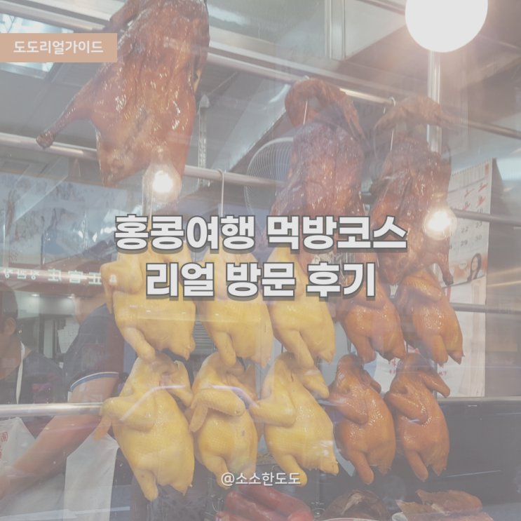 [도도리얼가이드]홍콩 현지인도 사랑한 맛집 4선(중식부터 이탈리안까지! 홍콩 맛집총정리)