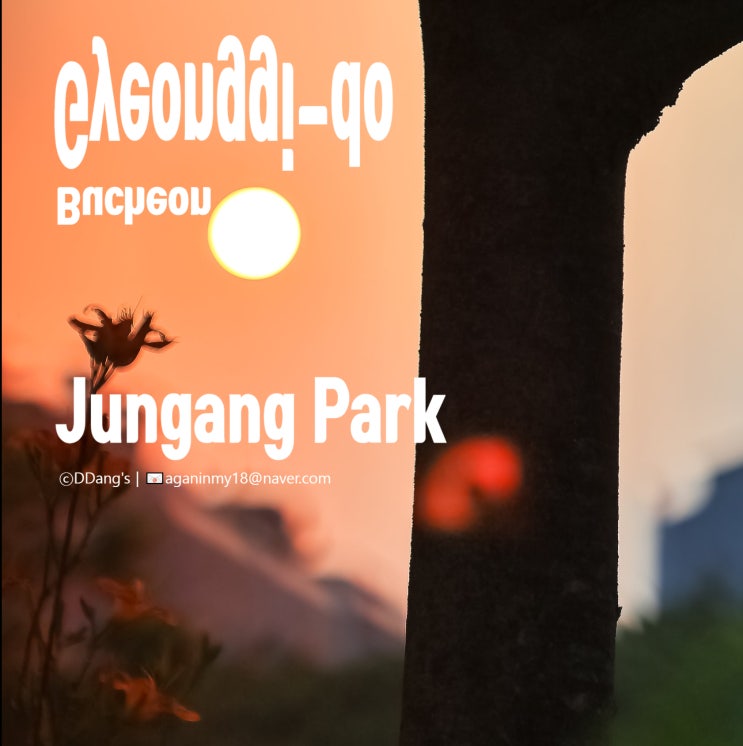  도심 속 카메라 산책 – 부천중앙공원의 여름 기록
