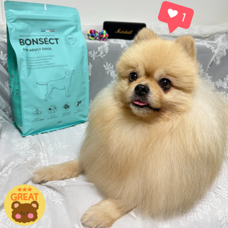  본섹트 강아지 알러지사료 입 짧은 노령견도 잘 먹는 눈물자국 지우개