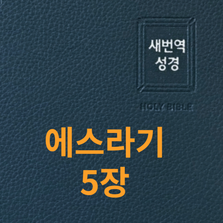  에스라기 5장