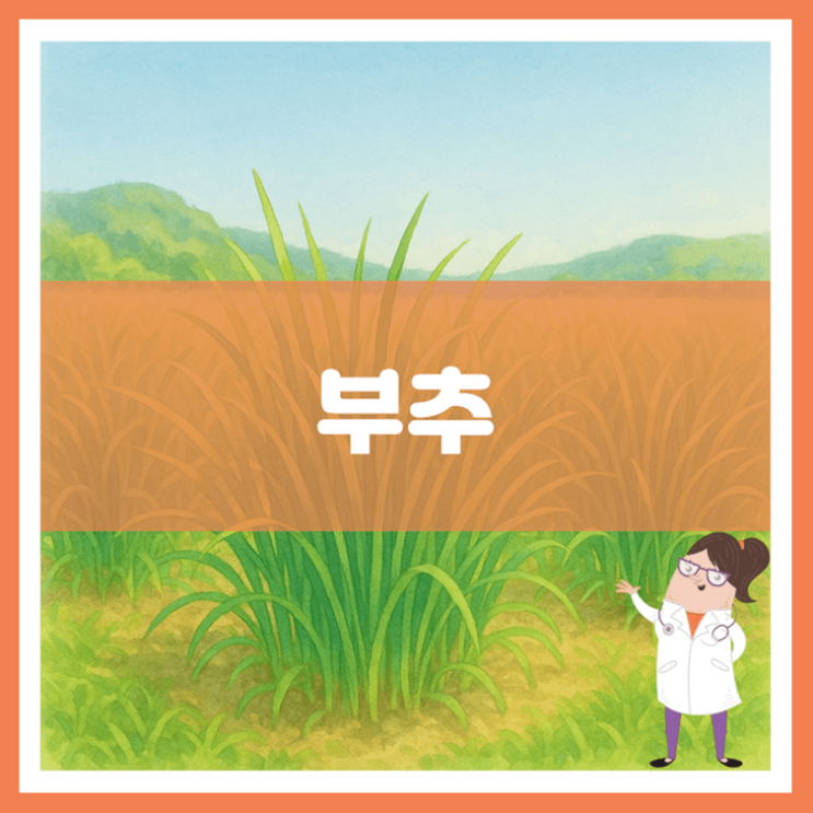  부추 효능 부작용 키우는 방법