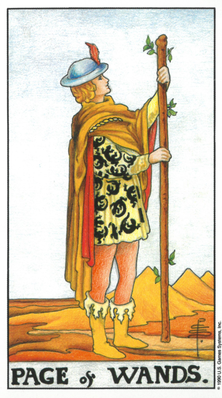  [타로카드 해석] 타로카드 완드 11번(Page of Wands)을 알아보자