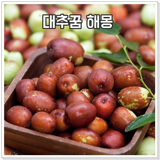 대추꿈 해몽 푸른대추꿈 마른대추꿈 풀이 모음