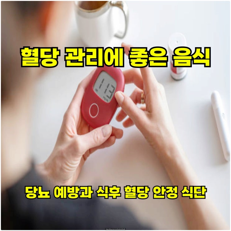  혈당 관리에 좋은 음식 – 당뇨 예방과 식후 혈당 안정 식단