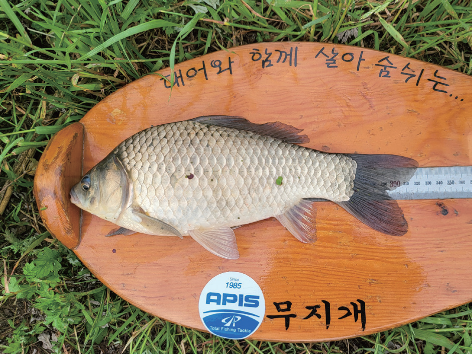 월호제 사진 5