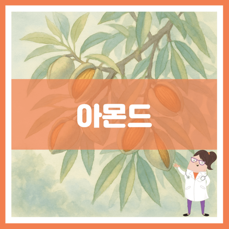  아몬드 효능 부작용 고르는 방법