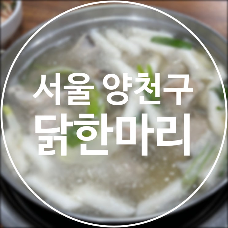  [서울/양천구] 닭한마리 신월점 / 신월동 로컬 맛집