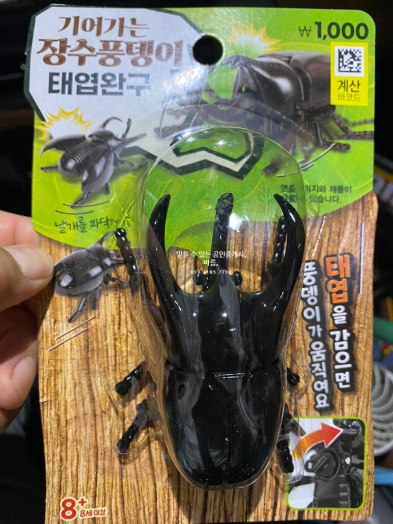 다이소 아이들이 가지고 놀기 좋은 장수풍뎅이 태엽완구 장난감 솔직후기