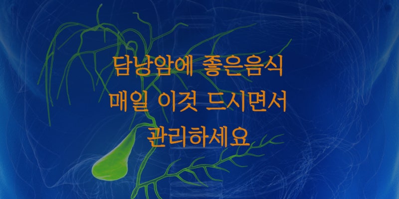 담낭암에 좋은 음식 건강을 위한 좋은 선택