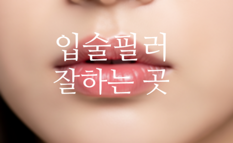  입술필러 잘하는 곳 후기 가격 전후 비교 아르네의원