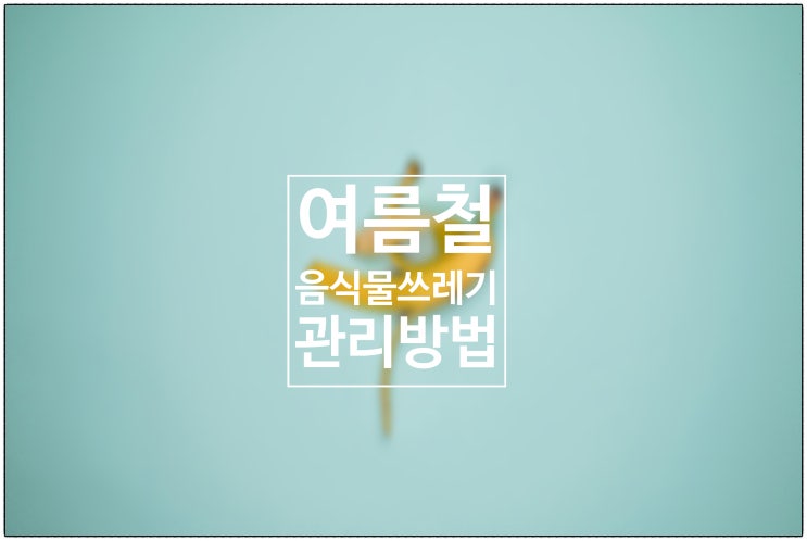  여름철 음식물 쓰레기 깔끔하게 관리하는 방법 / 건강생활소식(25.07.12)