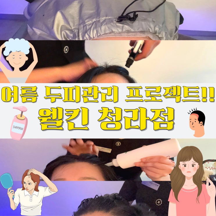  머리 숱 줄었나? 정수리 체감 해결한 청라 두피관리 체험담 웰킨 청라점