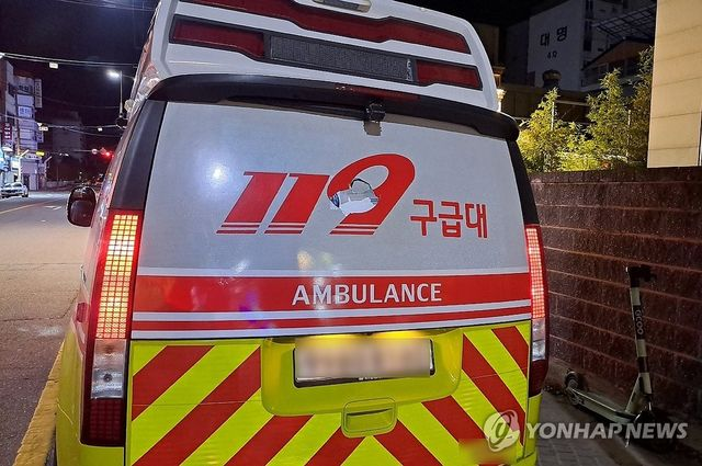  경찰관에게 침 뱉고 구급차 부순 20대 취객 체포