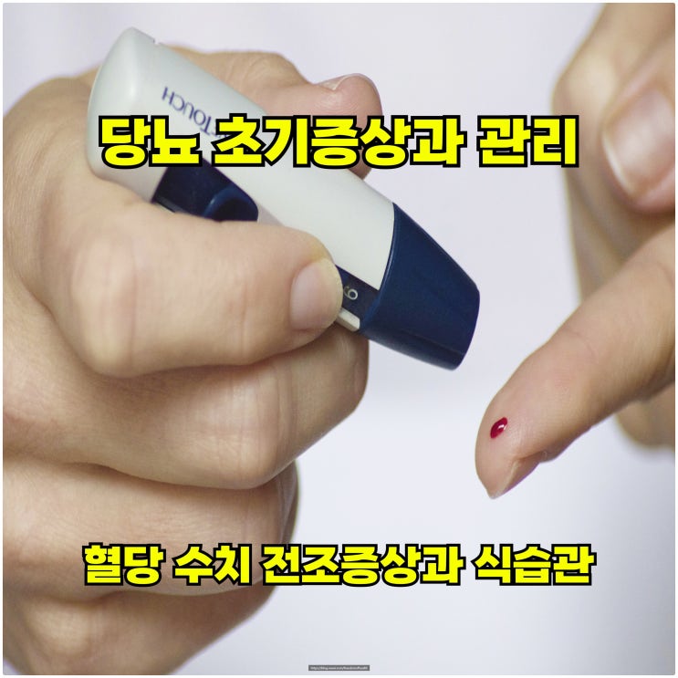  당뇨 초기 증상과 관리 - 혈당 수치 전조증상과 식습관