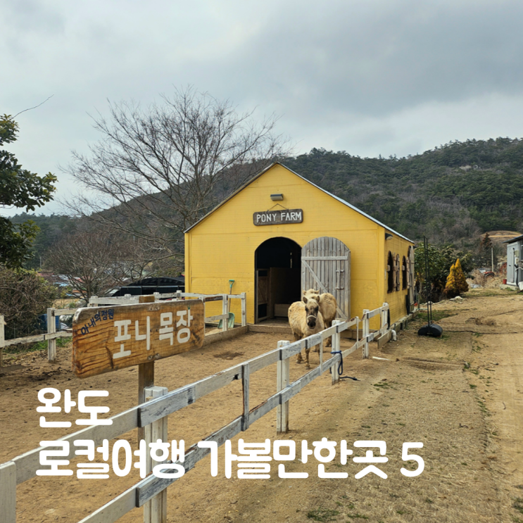  완도 로컬 여행 가볼만한 5곳에서 찾은 소도시의 느린 여유