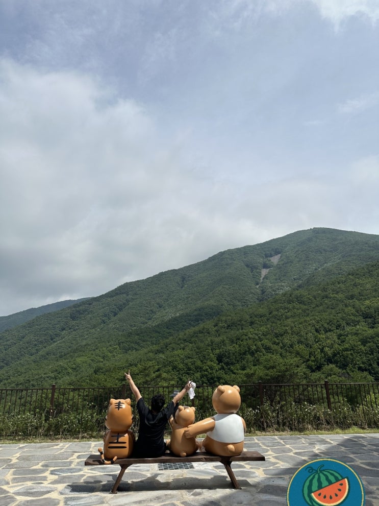  [경북 영천] 영천 보현산 자연휴양림 201호 1박2일 여행(삼창치킨,카페 온당,카페 스타코)