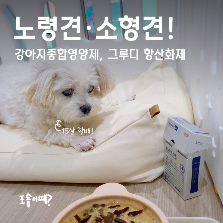  노령견·소형견 필수 강아지종합영양제, 그루디 항산화제 사용후기