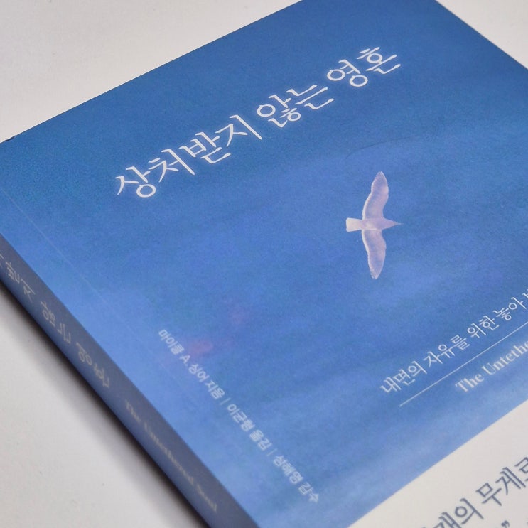  송혜교도 한다는 마음공부 책 추천 마이클 싱어 상처 받지 않는 영혼