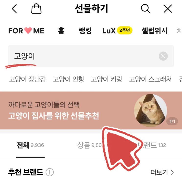  까다로운 집사친구 카카오톡 선물하기 추천템 가격별로 딱 정리