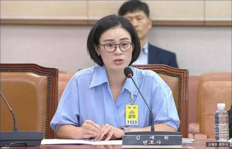 "박지원에 '한쪽 눈 없으시잖아요'…<b>김예원 변호사</b>, 결국... 
