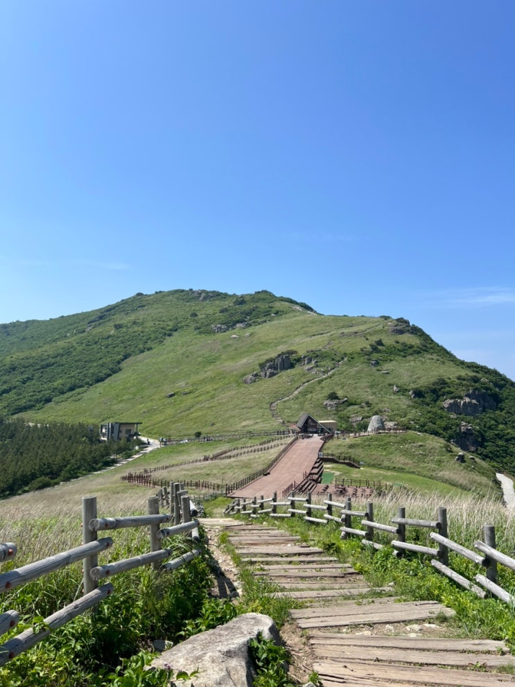  울산 가볼만한곳_국내여행지 강력 추천 한국의 알프스 간월재 최단코스 주차꿀팁 간월재휴게소