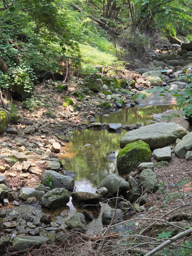  경기도 계곡 추천 청계산 맑은숲공원 청계사 입구 청계산 계곡