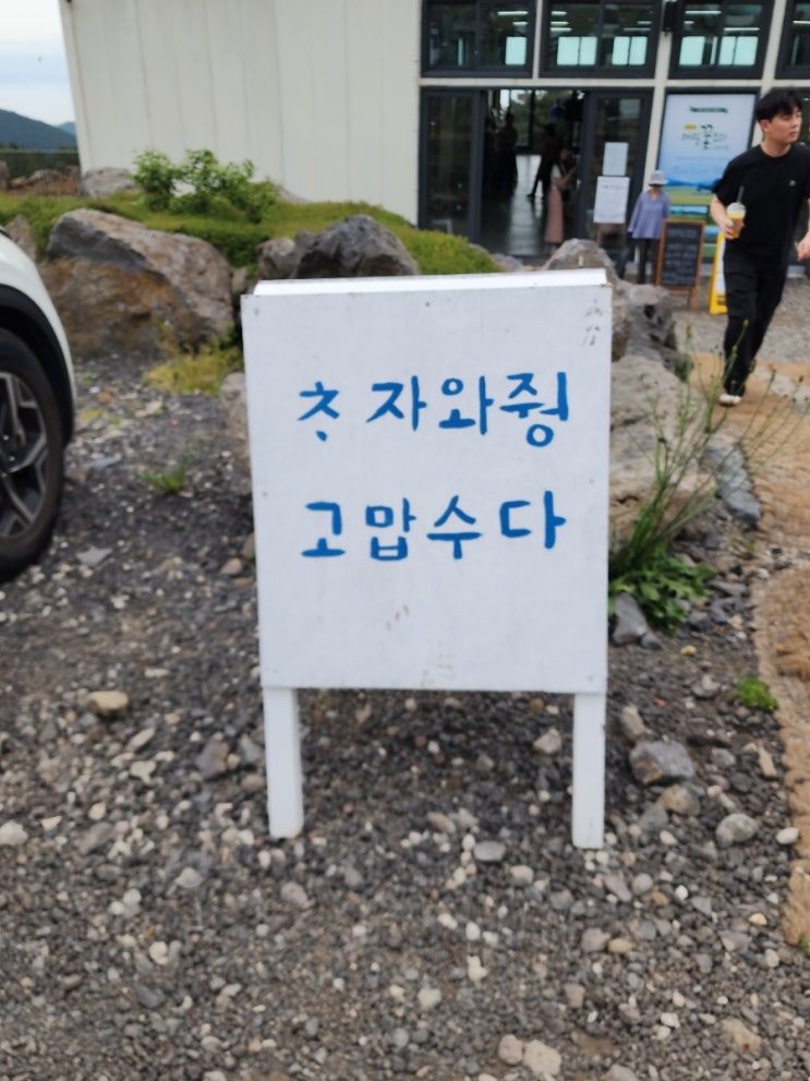  제주 5월 여행지 추천! 오라이동 메밀꽃밭 리얼 후기