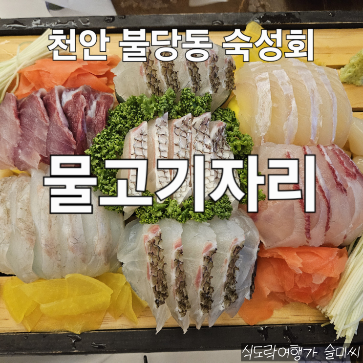  천안 불당동 무한리필 숙성회 횟집 물고기자리 내 돈 내산 후기