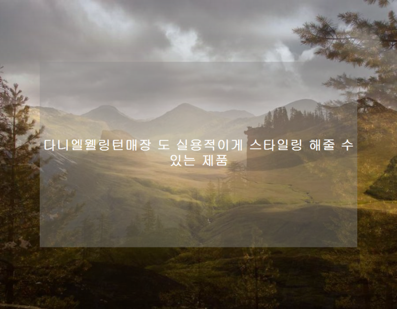 다니엘웰링턴매장 도 실용적이게 스타일링 해줄 수 있는 제품