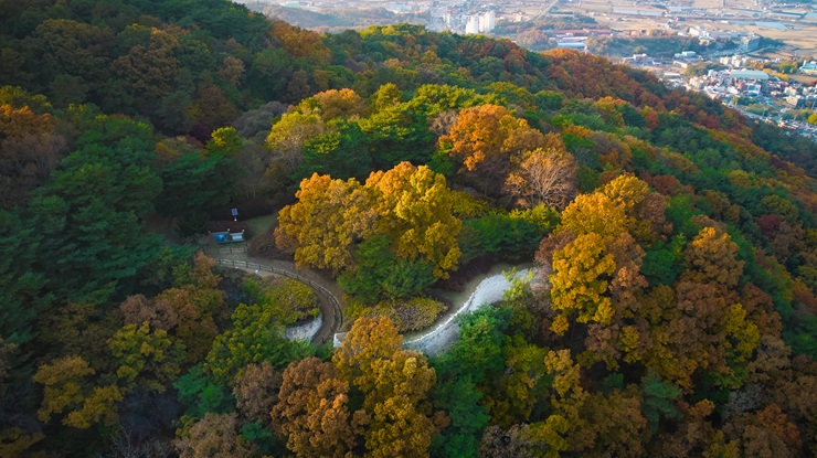 이천시 걷기 좋은 길(죽당천 둘레길(산책길)) 사진 3