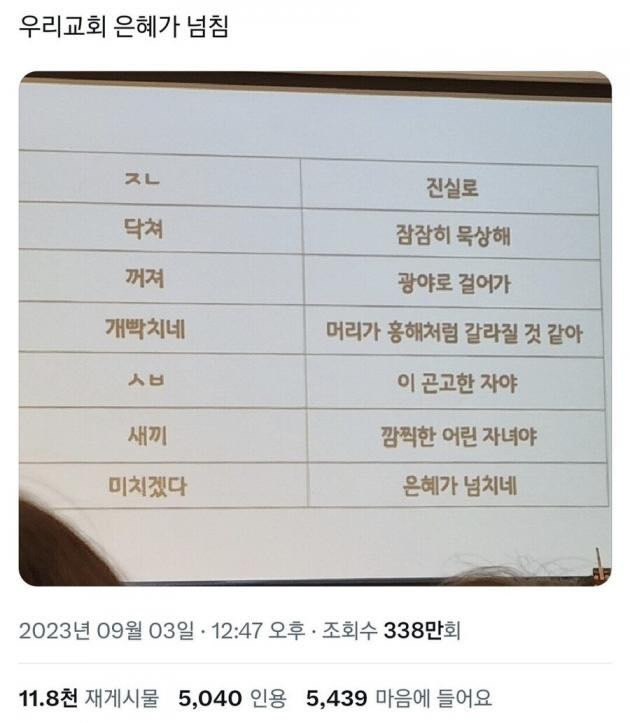  나쁜 말 이쁘게 쓰는 법 + 상사한테 쓰기 좋은 짤