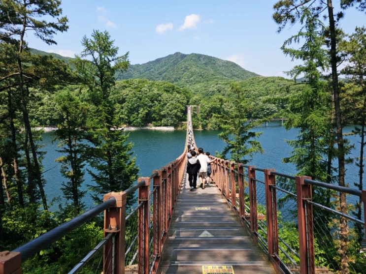  파주 마장호수 출렁다리 주차장 이용시간 입장료