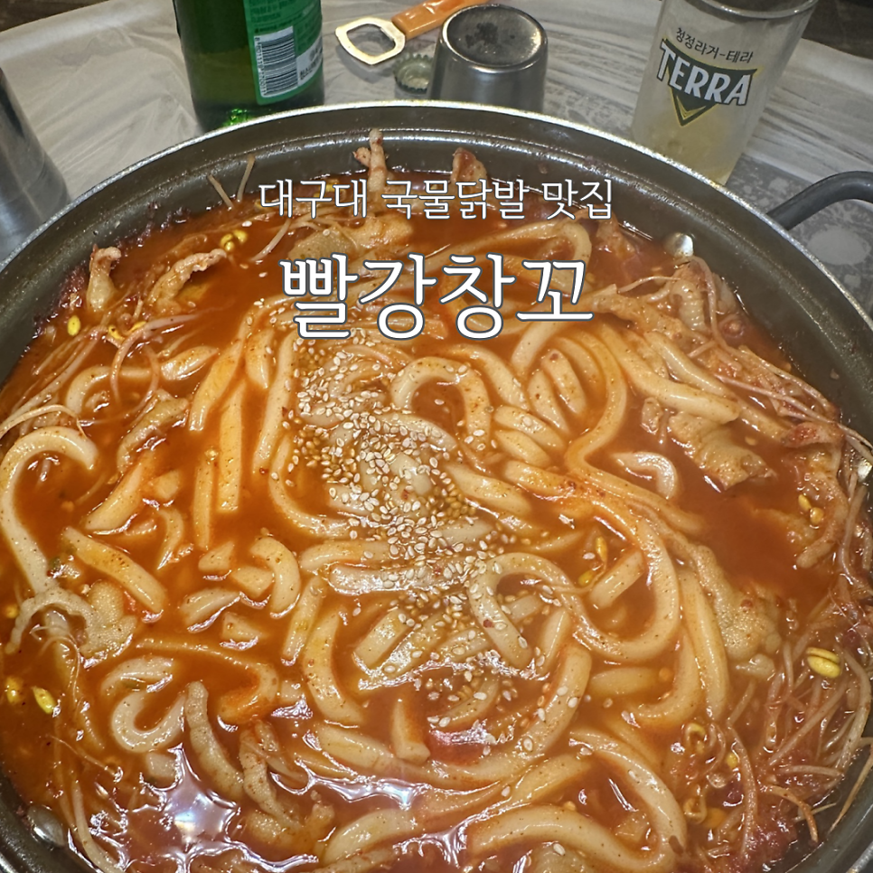 빨강창꼬 사진 1