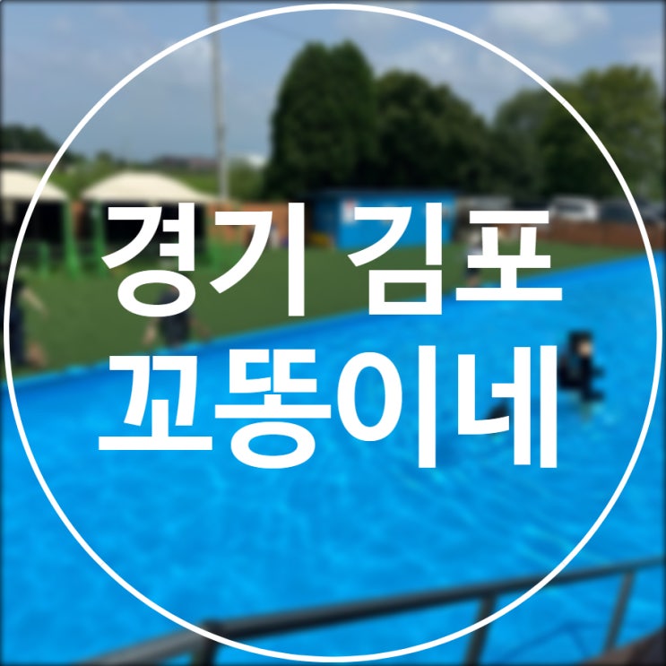  [경기/김포] 꼬똥이네 / 김포 수영장 방갈로 바베큐 애견카페 모두 즐기기