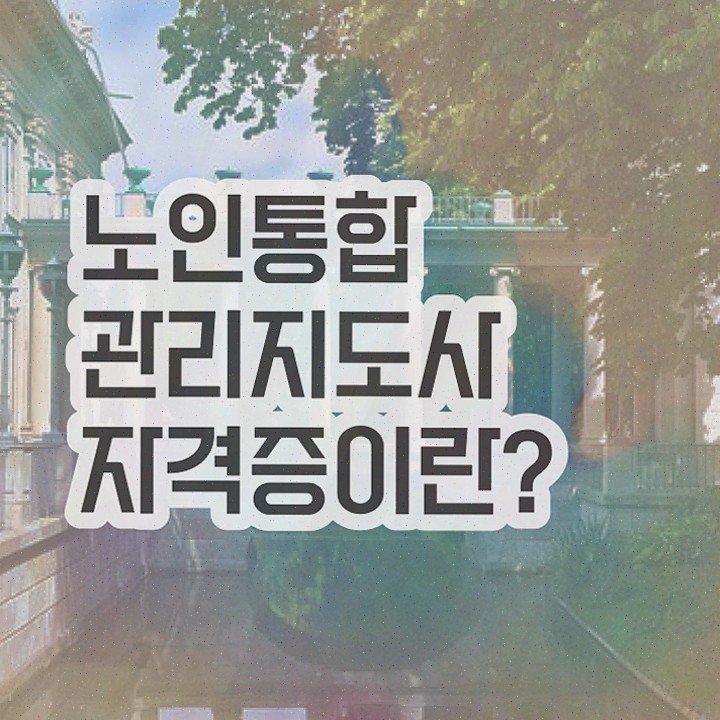  노인 스포츠지도사 , 노인통합관리지도사 자격증 단기간에 준비한 과정