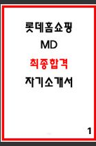  [공개] 롯데홈쇼핑 MD 합격 자소서 및 예문1편