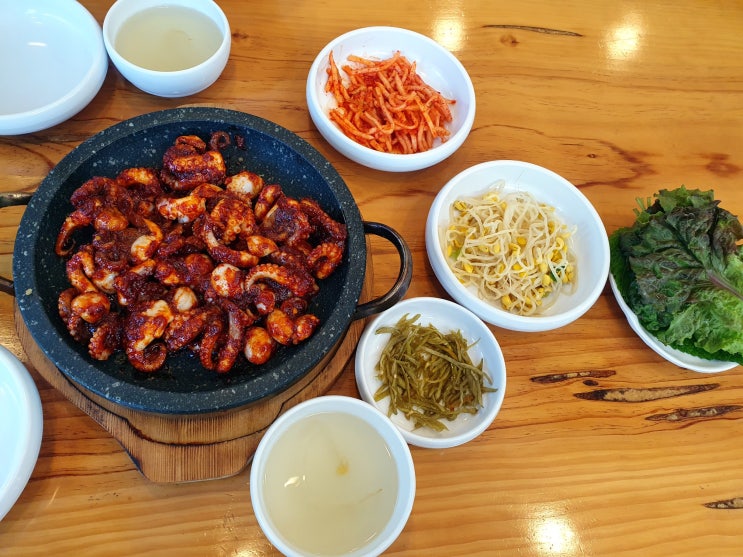  서울 가락동 점심 맛집 경찰병원역 맛집 신사동인동 쭈꾸미