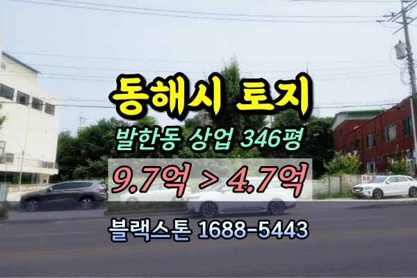  동해시 발한동토지 경매 묵호역 대지 상업 300평대 [2024타경53132]