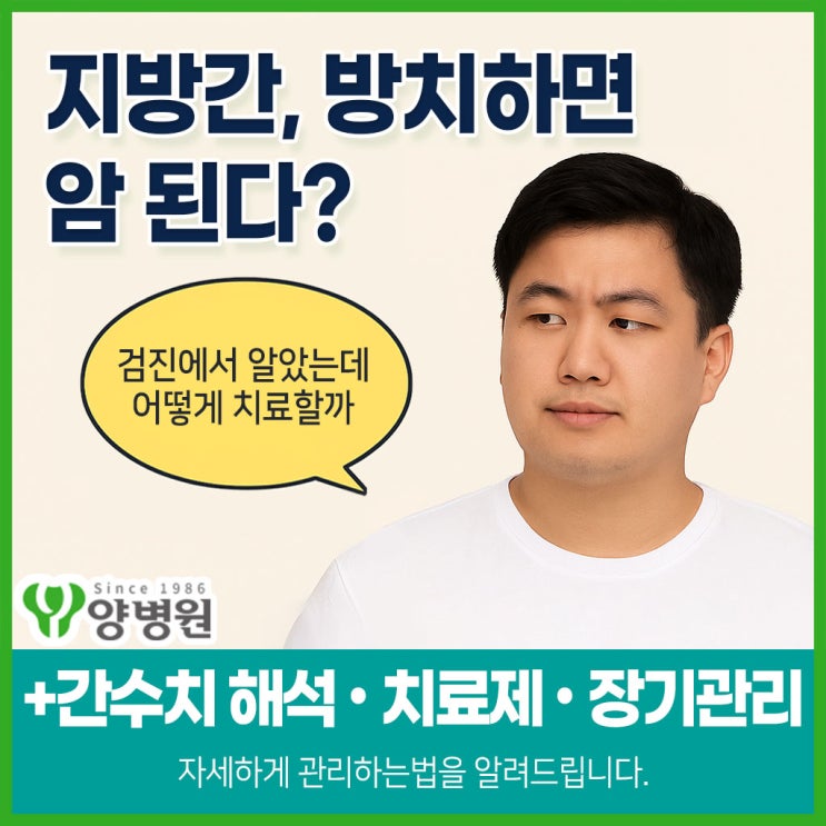  지방간 치료 어떻게 해야 할까? - 지방간 지표, 지방간 치료제, 치료기간, 음식 중심의 완벽 가이드 | 송파구 건강검진