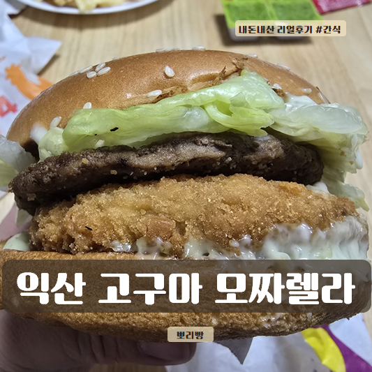  익산 고구마 모짜렐라 버거 칼로리, 가격 내돈내산 후기