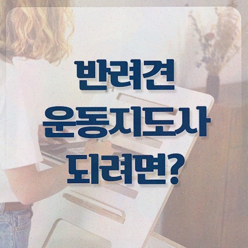  반려견운동지도사 공부 , 반려견운동지도사자격증 2주 만에 공부한 방법