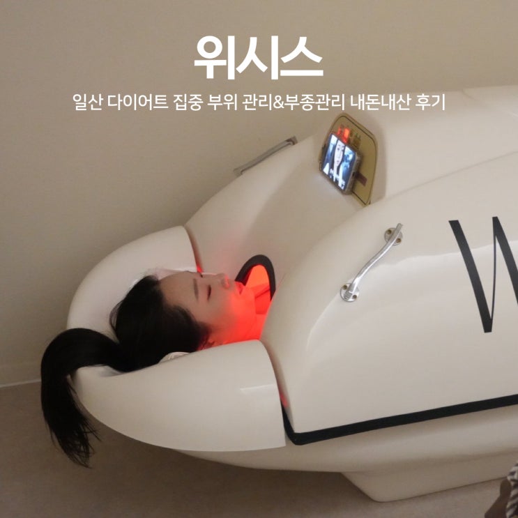  일산 다이어트 군살 집중 관리 내돈내산 위시스