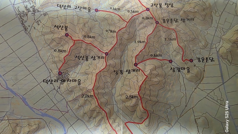 속금산 사진 1