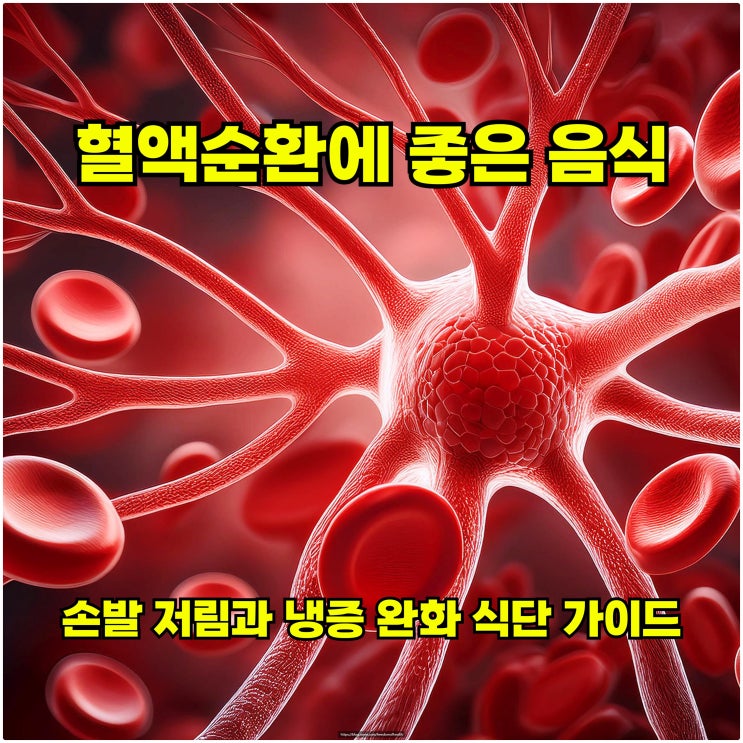  혈액순환에 좋은 음식 – 손발 저림과 냉증 완화 식단 가이드