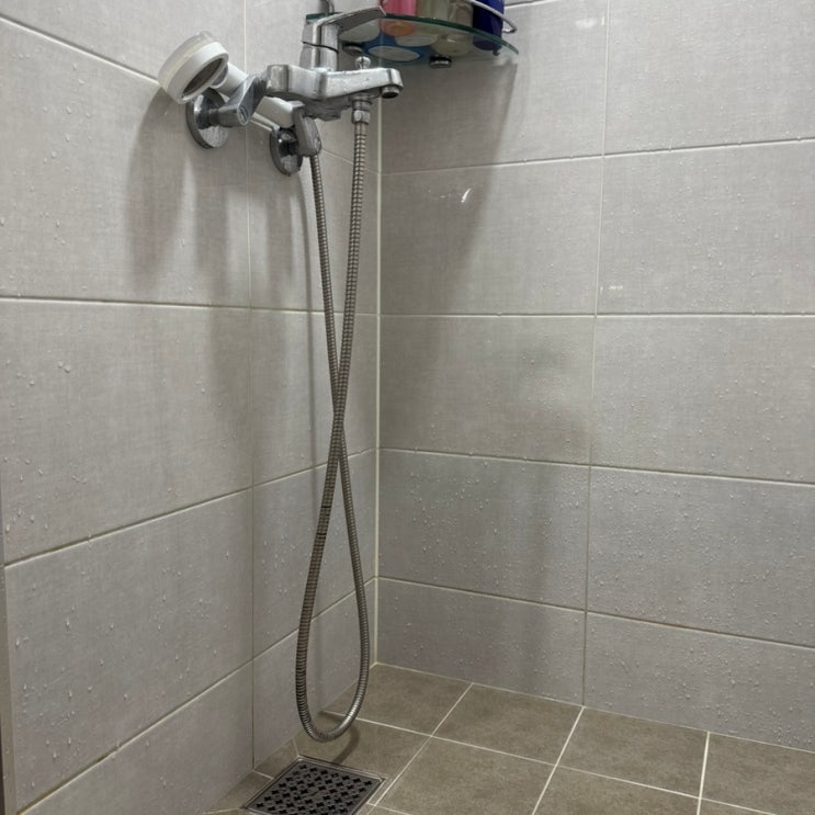 샤워호스청소 곰팡이 묵은때 없애는법