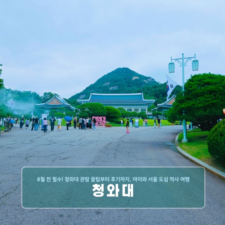  8월 전 필수! 청와대 관람 꿀팁부터 후기까지, 아이와 서울 도심 역사 여행