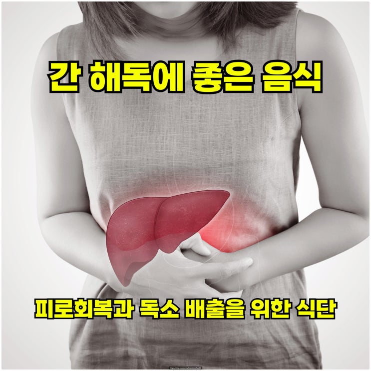  간 해독에 좋은 음식 – 피로회복과 독소 배출을 위한 식단