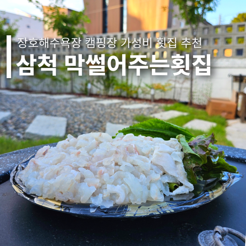 삼척 장호항 맛집 양 많은 광어&물회! 장호해수욕장 캠핑장 근처 횟집 추천