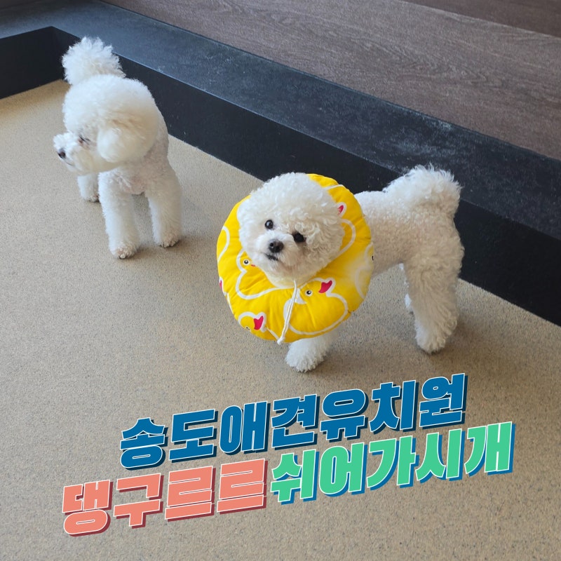 사진 3